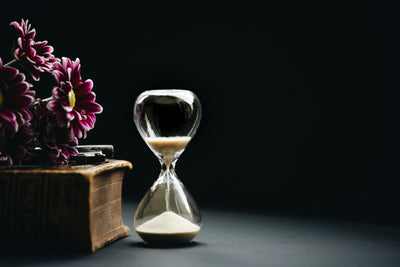 The Value of Time: How to Stop Wasting Your Most Precious Resource